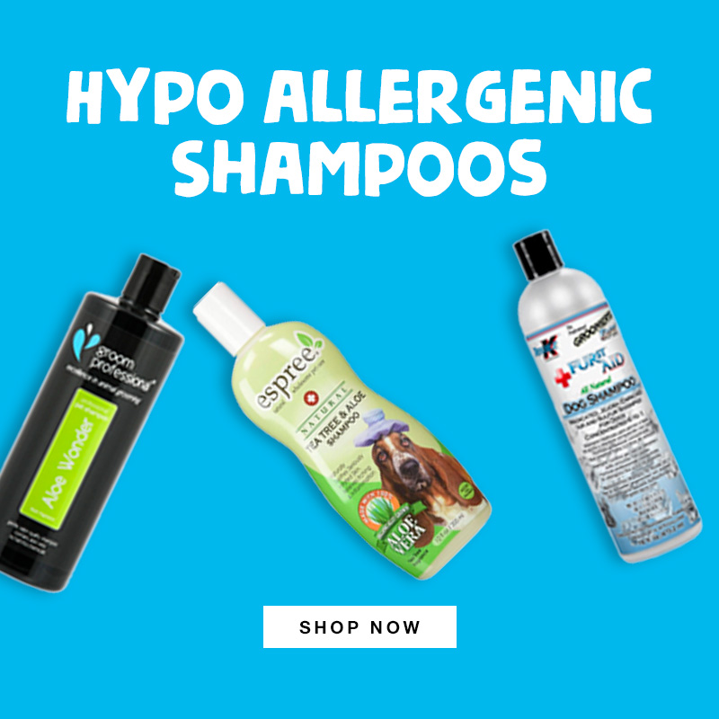 Hypo Allergenic Shampoos