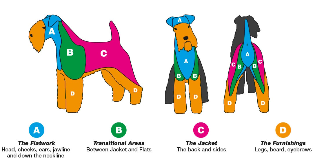 how often should you hand strip a dog