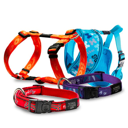 Collars and Harnesses