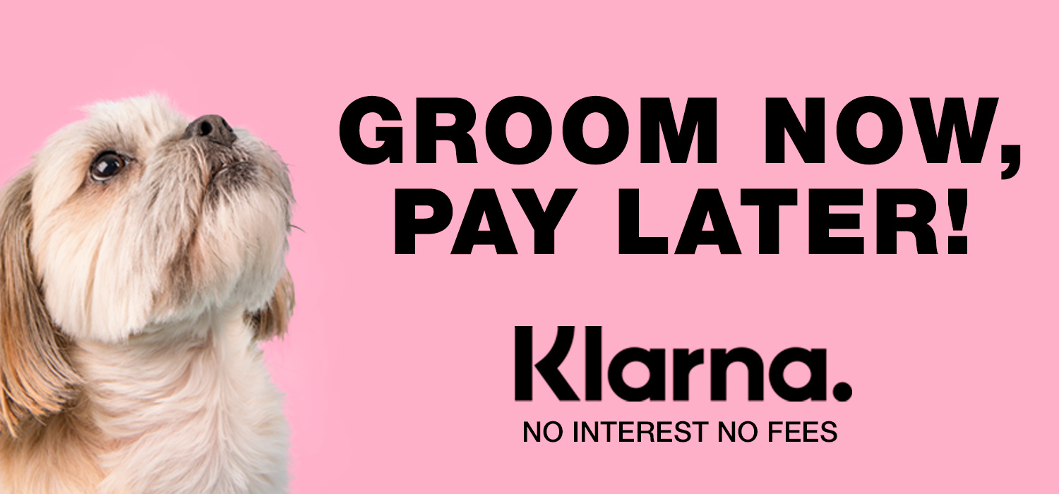 Klarna Groom Now Pay Later