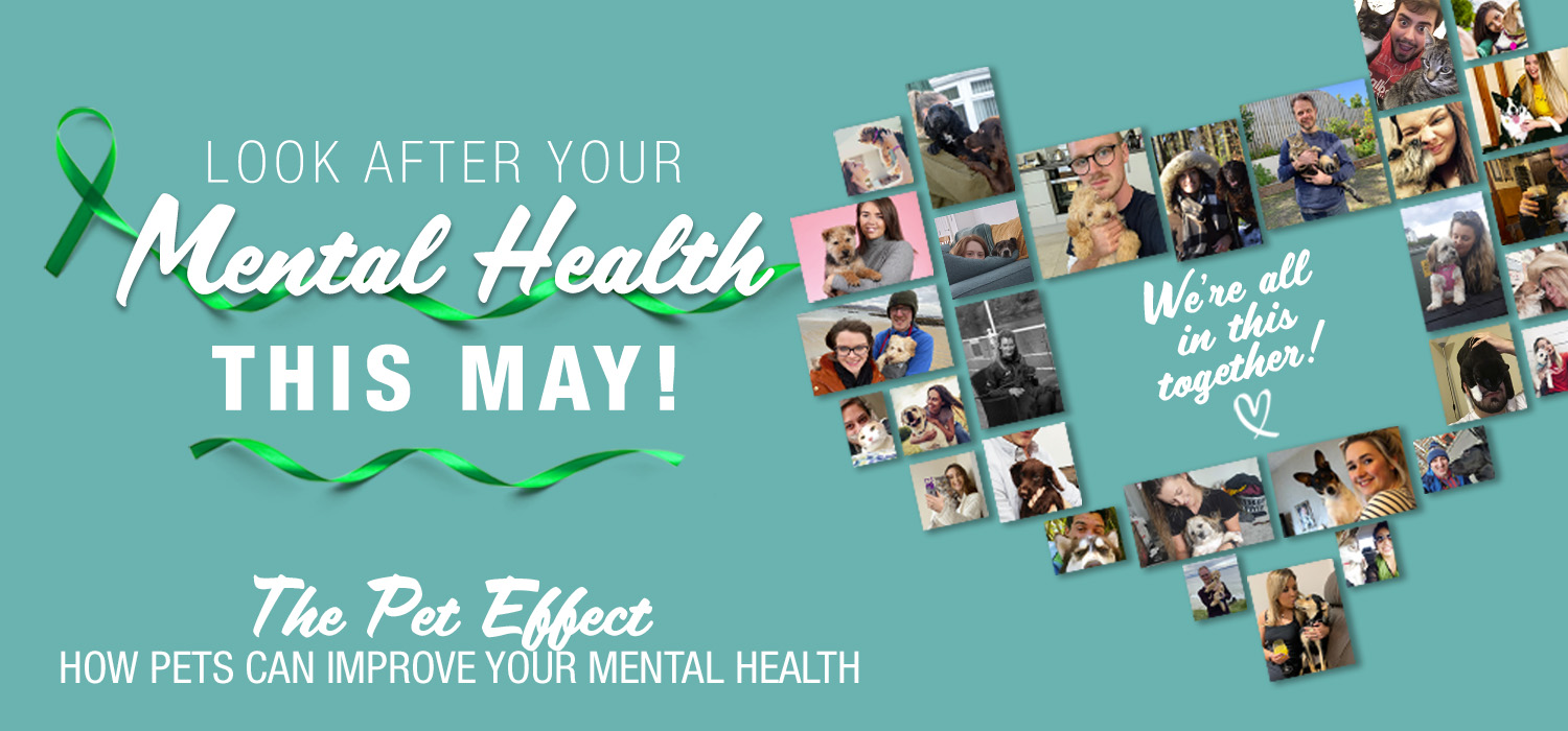 Pet Effect Mental Health May