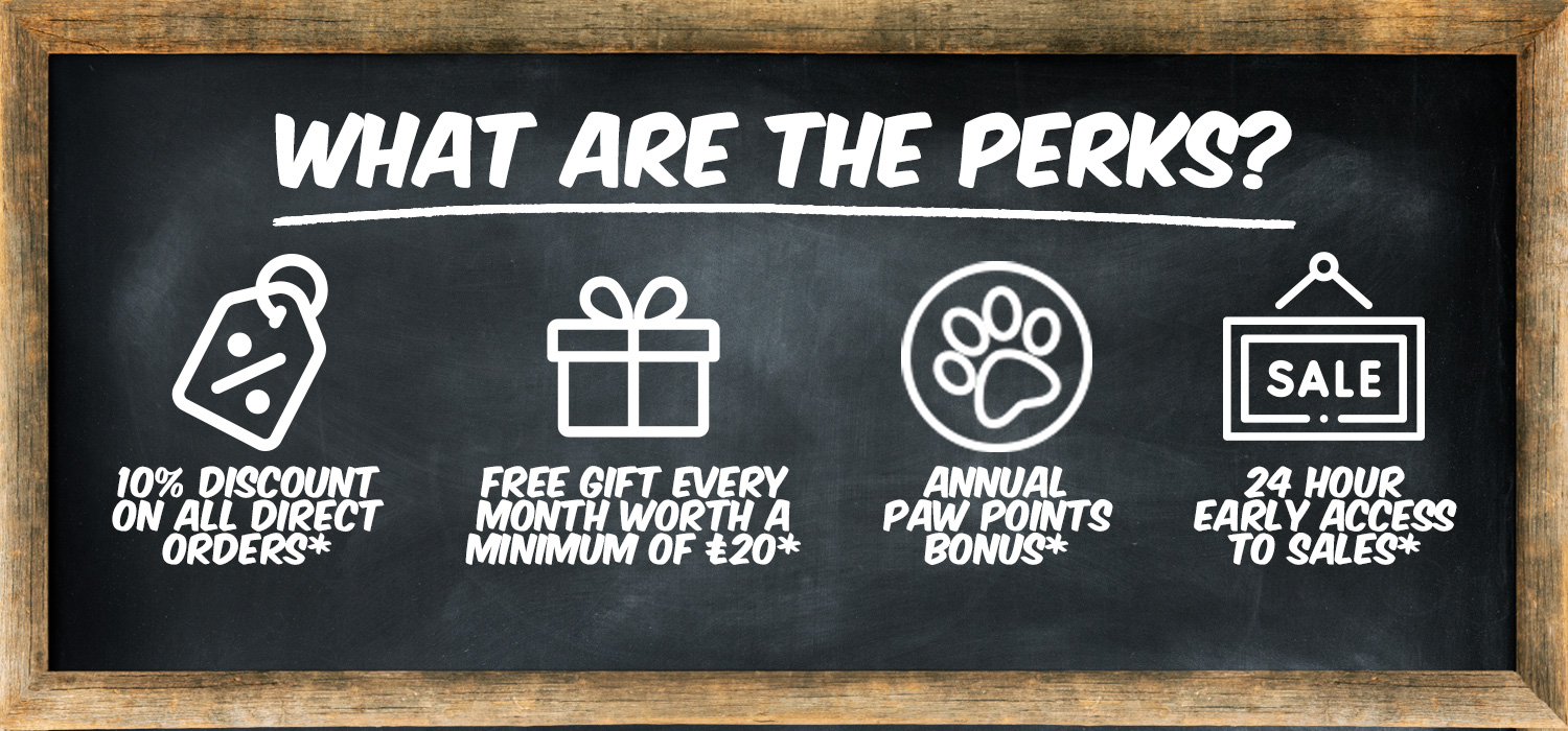 What are the Perks?