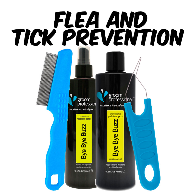 Tick and flea prevention 