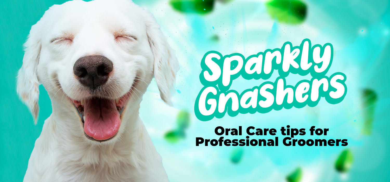 Dog Oral Care Tips