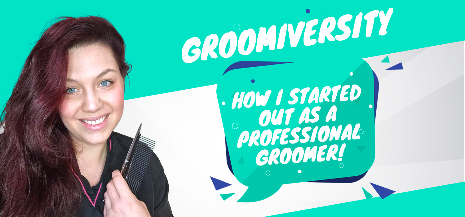 How I started out as a dog groomer
