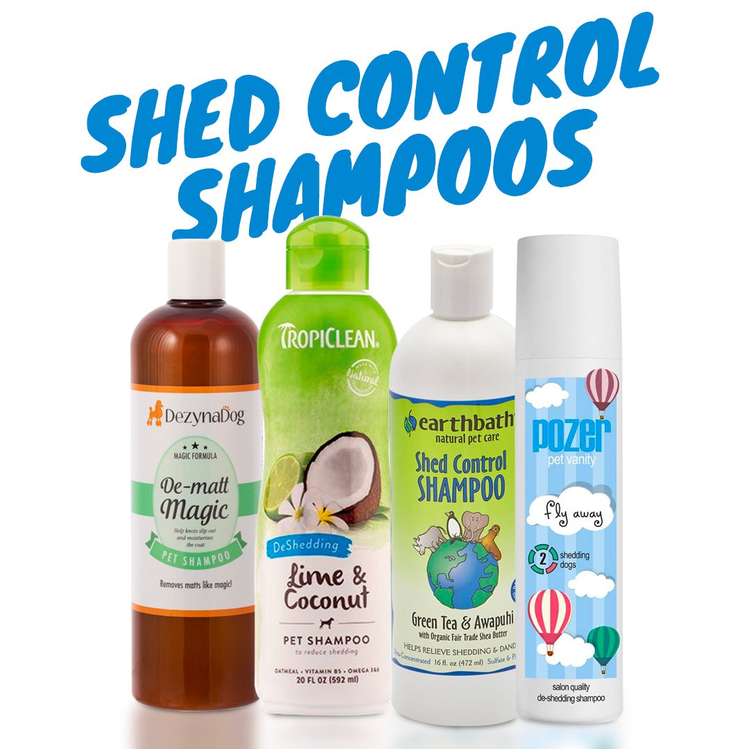 Shed Control Shampoos