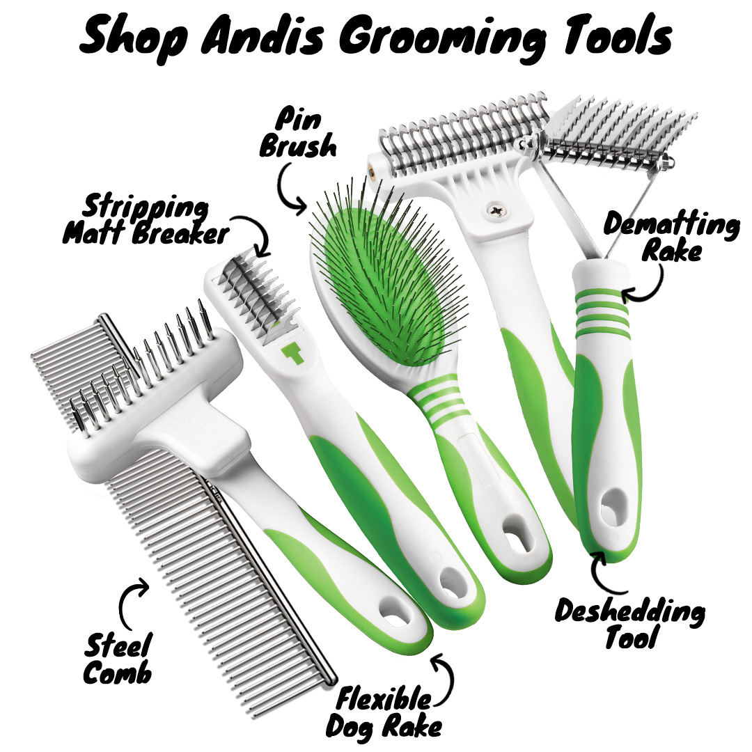 Shop Andis Grooming Tools