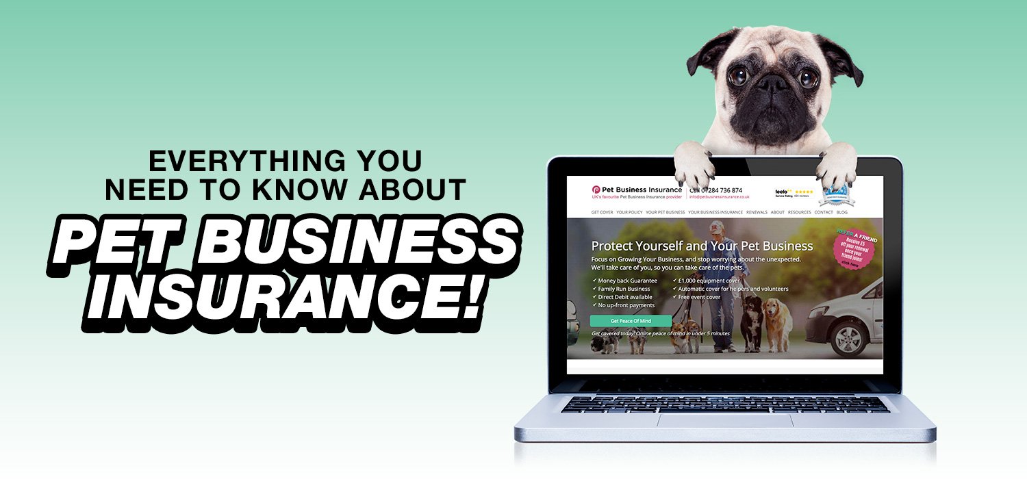 Dog Grooming Business Insurance 