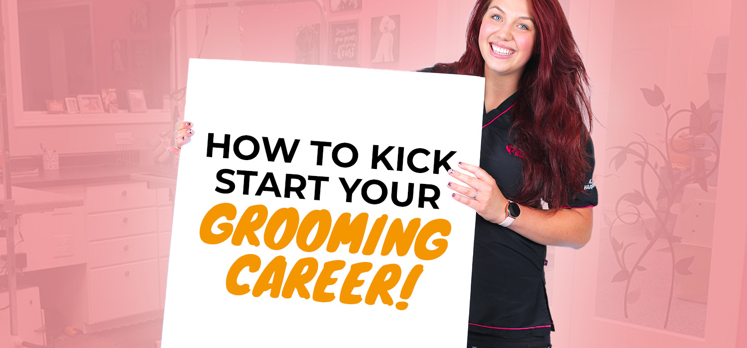 Kick Start Your Grooming Career