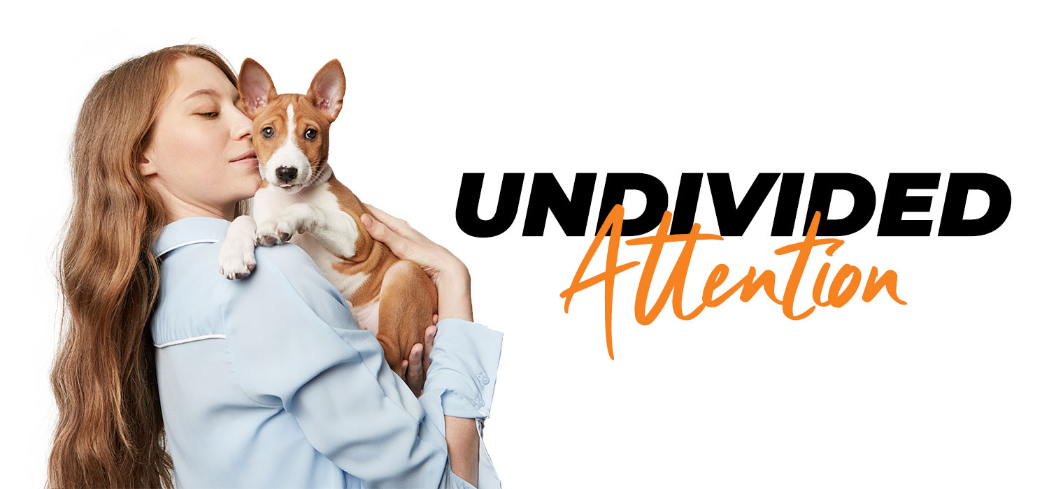 woman holding dog with text "undivided attention"
