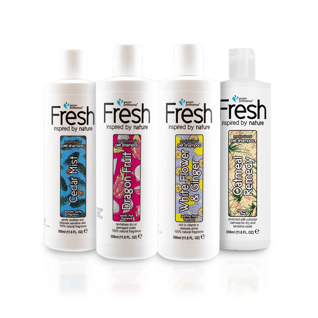 groom professional fresh shampoo