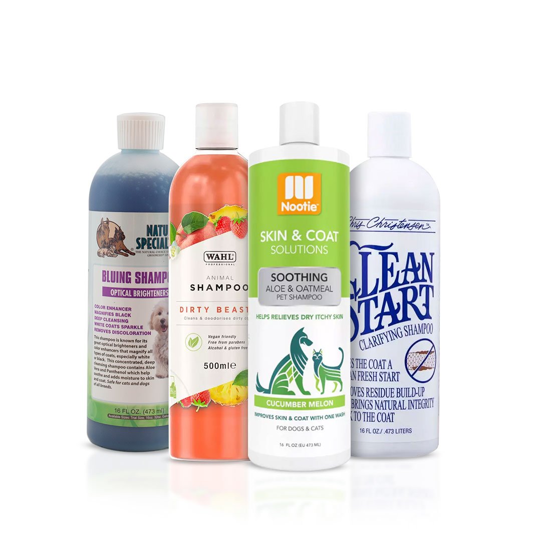 shampoos for smelly coats