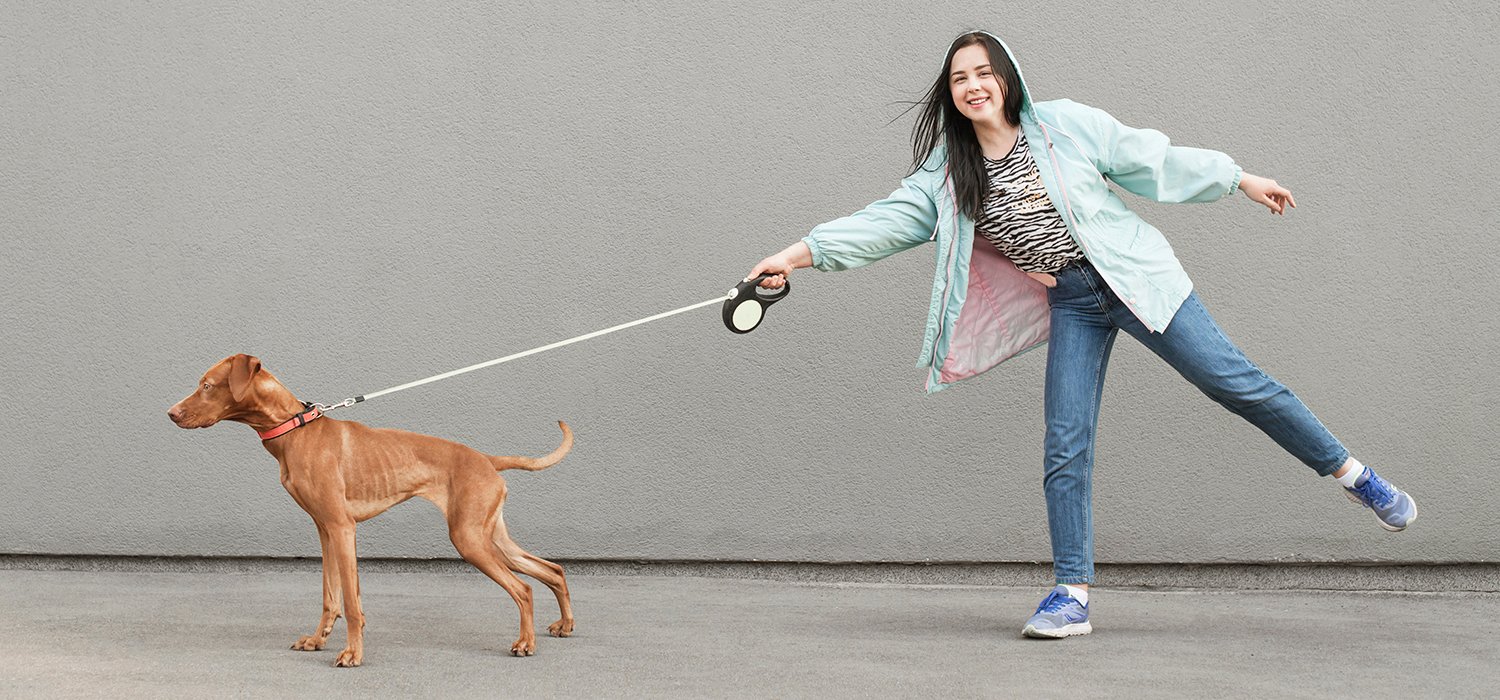 dog pulling on leash