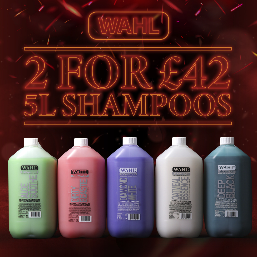 2 for 42 Wahl 5 litre shampoo