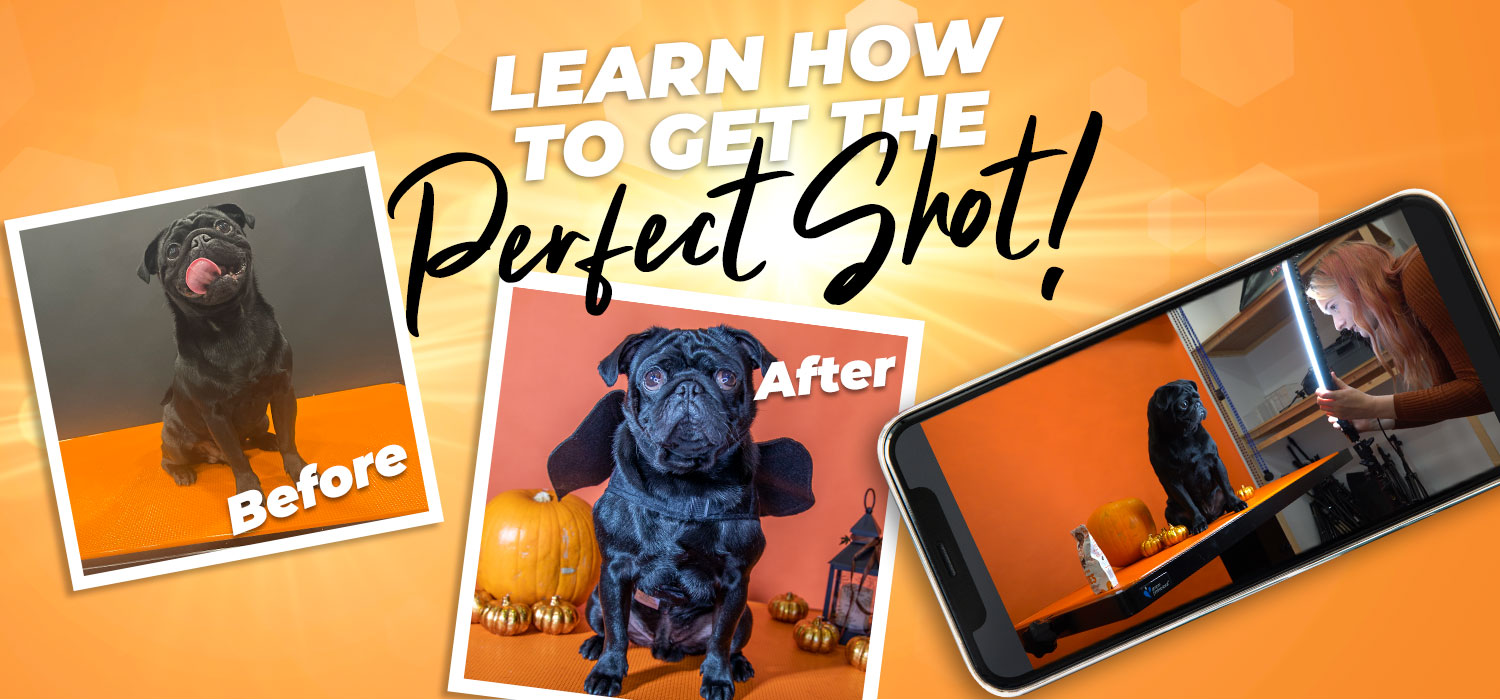 learn how to get the perfect shot