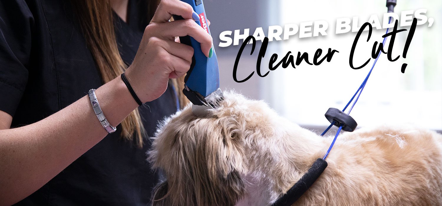 dog being clipped with text "sharper blades, cleaner cut"
