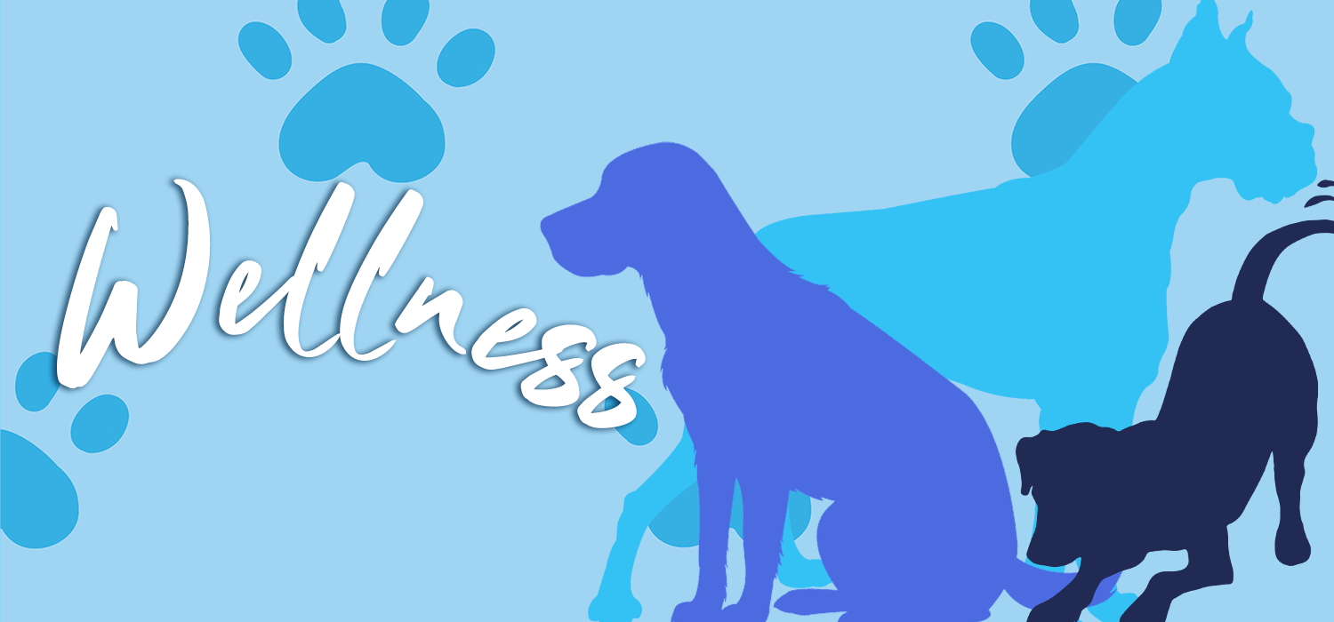 dog silhouettes with text "wellness"