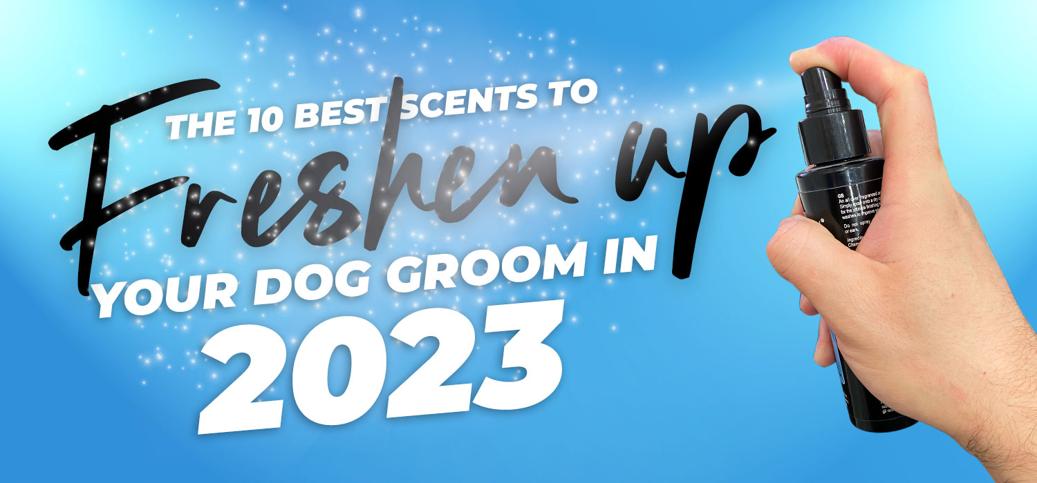 The 10 Best Scents to Freshen Up Your Dog Groom in 2023