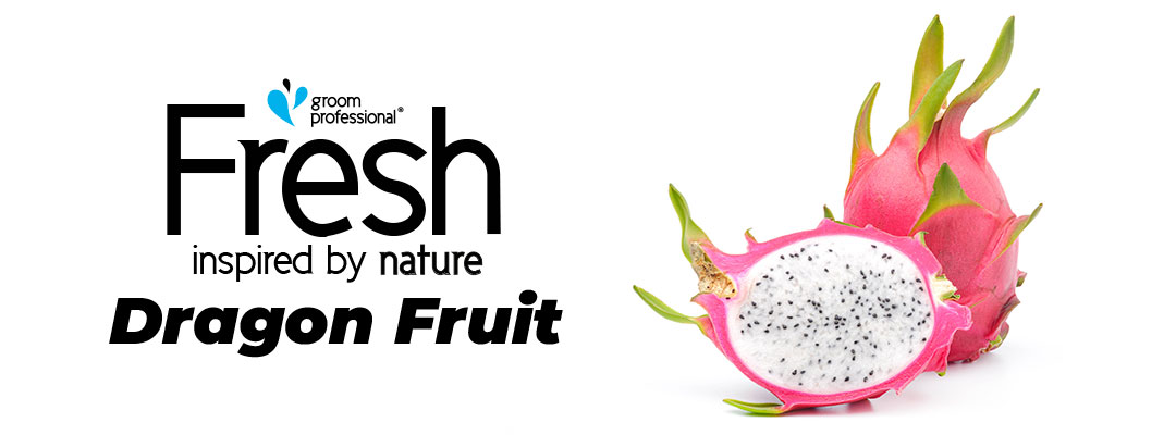 Groom Professional Fresh Dragon Fruit
