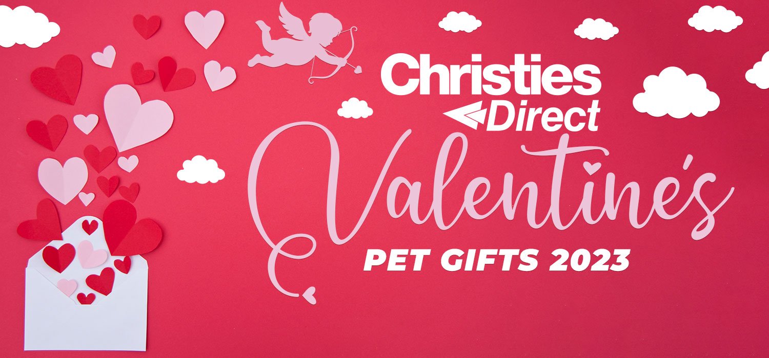 Christies Direct Valentines dog gifts