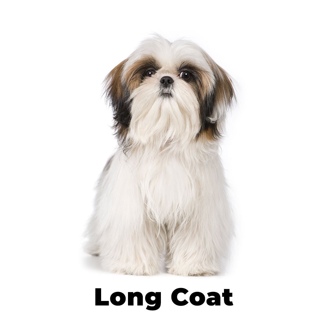 Long Coat