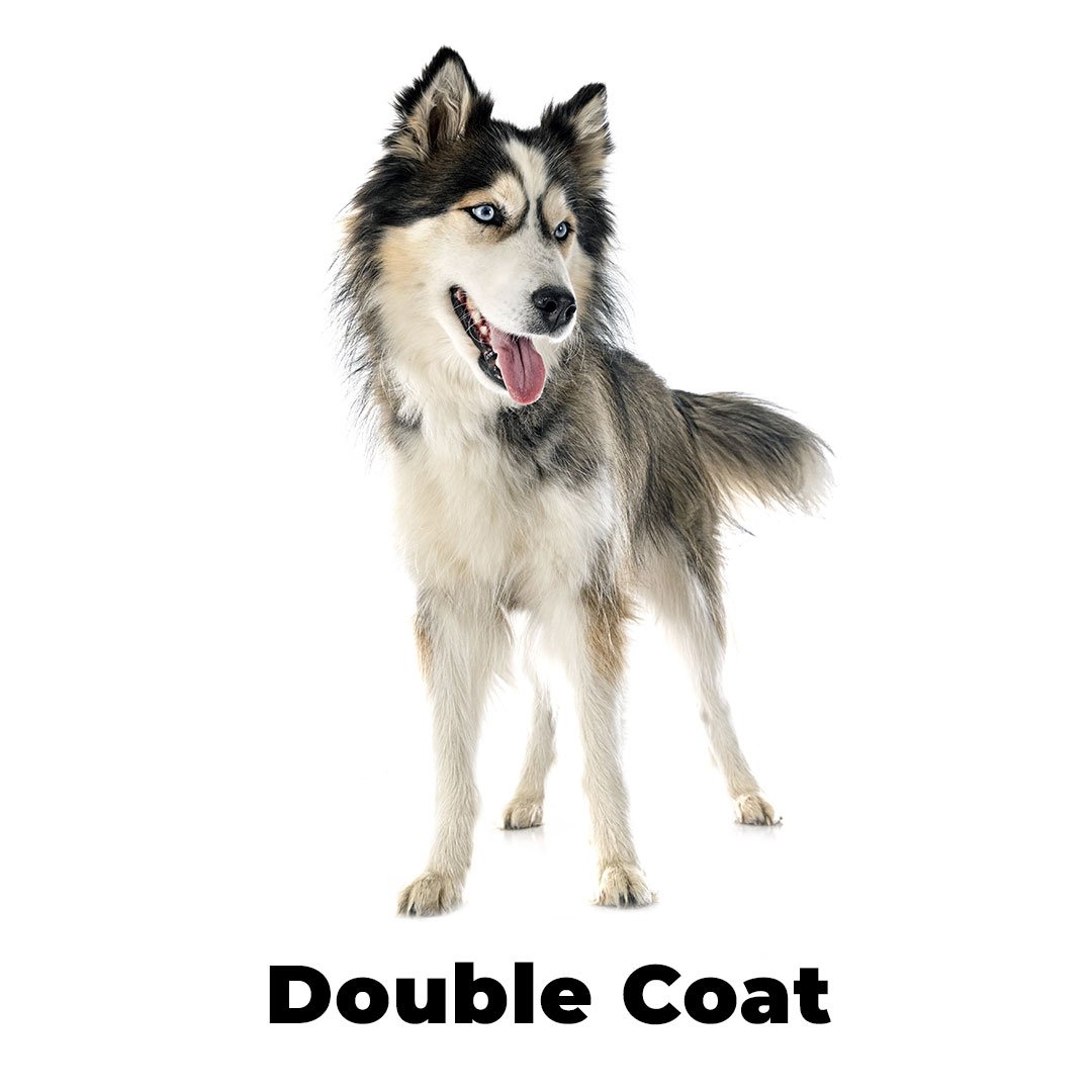 Double Coat