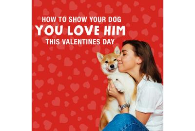 How to Show your Dog you Love them this Valentines Day