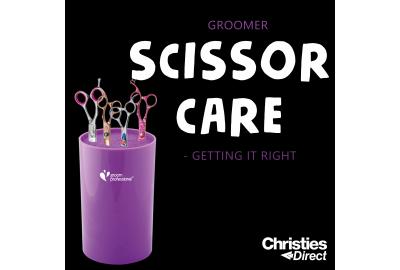 Video Blog - Groomer Scissor Care - Getting it Right