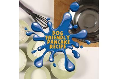 Video Blog - Dog Friendly Pancake Recipe 