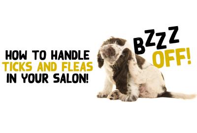 How to handle Ticks and Fleas in your Salon