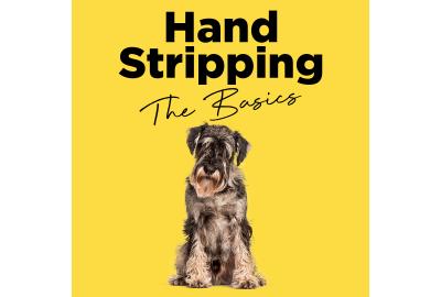 Hand stripping: The Basics