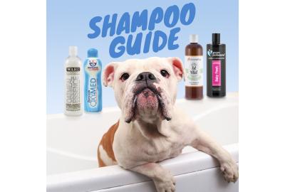 Dog Grooming Shampoo Guide