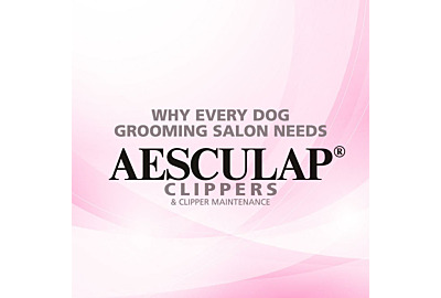 Why Every Dog Grooming Salon Needs Aesculap Clippers 