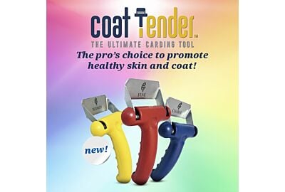 Carding 101: The Grooming Secret for a Healthier Coat 