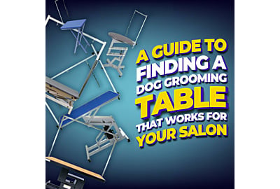 A guide to finding a dog grooming table that works for your salon 