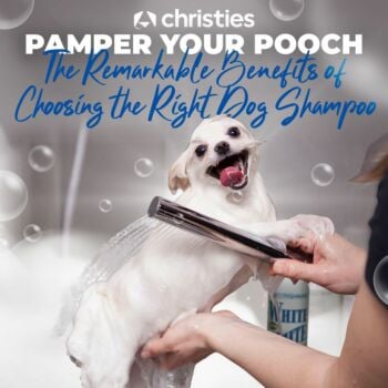 Pamper Your Pooch: The Remarkable Benefits of Choosing the Right Dog Shampoo