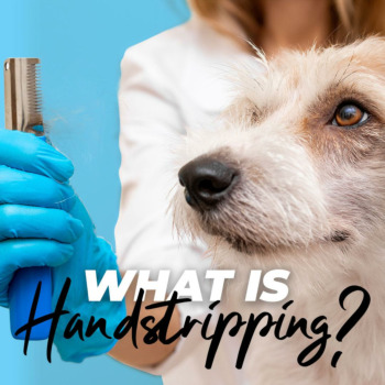 What is Hand Stripping?
