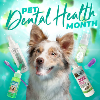 Pet Dental Health Month 2023