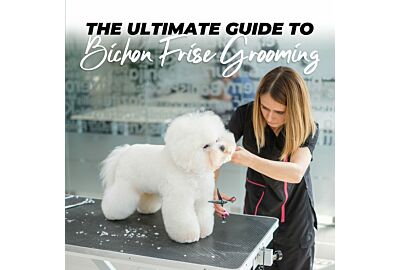 The Ultimate Guide to Bichon Frise Grooming: Tips, Techniques, and Essential Tools
