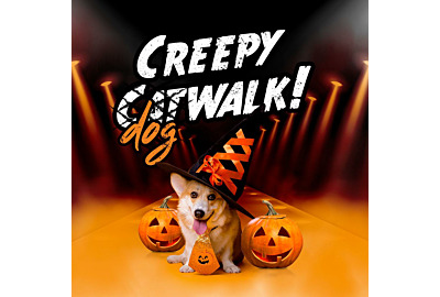 Christie's Creepy Catwalk!