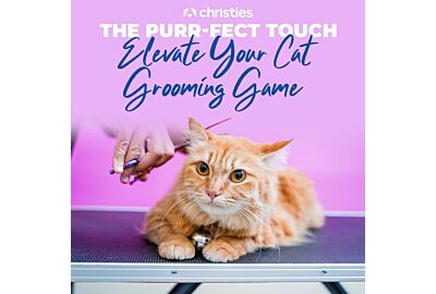  The Purr-fect Touch: Elevate Your Cat Grooming Game with Chris Christensen’s Top Cat Range