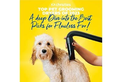  Top Pet Grooming Dryers of 2023: A Deep Dive into the Best Picks for Flawless Fur