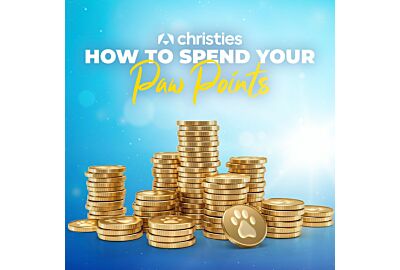 Maximise Your Savings with Christies Pawsh Perks Loyalty Scheme