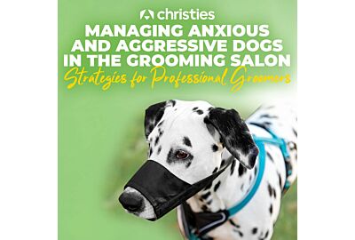 Managing Anxious and Aggressive Dogs in the Grooming Salon: Strategies for Professional Groomers