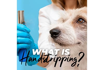 What is Hand Stripping?