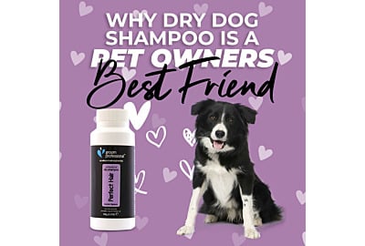Why Dry Dog Shampoo is a Pet Owner’s Best Friend