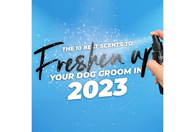 The 10 Best Scents to Freshen Up Your Dog Groom in 2023