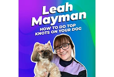 Leah Mayman How To Do Top Knots on Your Dog