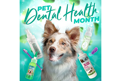 Pet Dental Health Month 2023