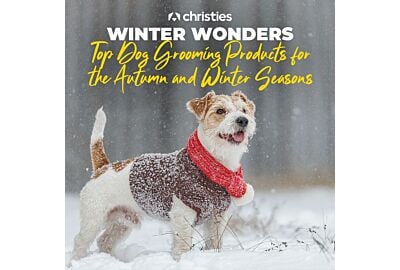 Winter Wonders: Top Dog Grooming Products for the Autumn and Winter Seasons